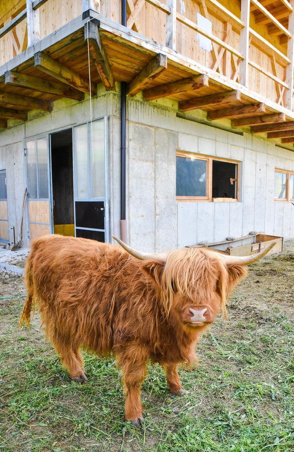 Albergo Somont Ortisei Bagian luar foto